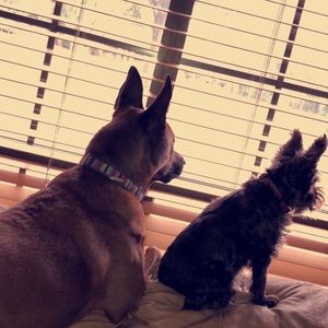 Meet your Posher, Olivia